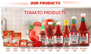 Nhà Sản Xuất 30% Hữu Cơ Trống Gói Tin Đóng Hộp Salsa Tomate Nước Sốt Cà Chua Concentre Cà Chua Dán - Product Image 3