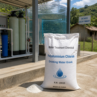 Chlorure de polyaluminium en poudre blanche PAC 30% pour la purification de l'eau des réservoirs