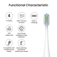 Brosse à dents électrique rechargeable OEM ODM de Chine, 4 modes, mémoire de position, étanche IPX7, chargement Type C pour usage quotidien