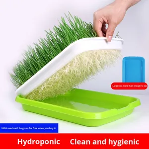 Venta al por mayor de hierba para gatos, caja hidropónica de plástico, <span class=keywords><strong>semillas</strong></span> de trigo, plantas en maceta, removedor de bolas de pelo, hierba gatera, aperitivos ecológicos - Product Image 6