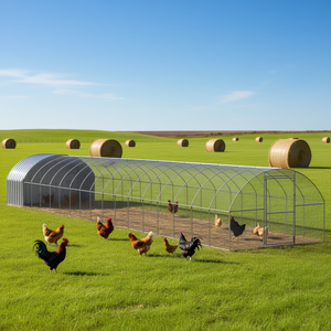 Gallinero al aire libre de acero galvanizado 9,8 'x 65,6' x 6,6 'Equipo de cría de animales - Product Image 2