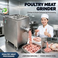 Machine à broyer la viande de poulet industrielle de haute qualité, certifiée CE, broyeur de viande congelée à bas prix