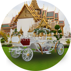 Personalizable Eléctrico Cenicienta Calabaza Caballo Carruaje Especial Boda Transporte - Product Image 4