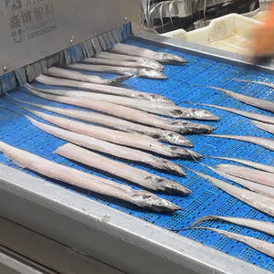 Machine à écailler et à abattre les poissons Ribbonfish et Hairtail - Product Image 3