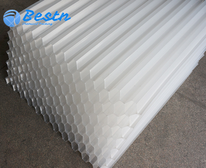 Pvc प्लास्टिक हेक्सागॉन मधुकंघी झुकाव ट्यूब बसने वाले मीडिया पीपी लेमेला स्पष्टीकरण शीट के लिए कस्टम कटिंग - Product Image 4