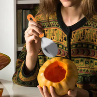 Groothandel Fruit Groente Halloween Pompoen Carving Kits Rvs Fruit Decoreren Vleesmes Set Met Draagtas