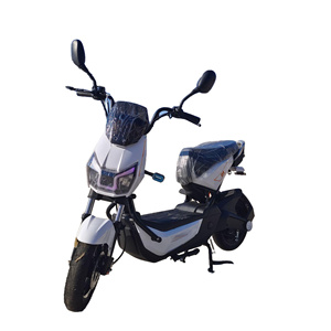 Bicicleta Eléctrica de 1000W, Superventas, con Freno de Disco Delantero y Freno de Tambor Trasero, Deportiva para Adultos, con Motor sin Escobillas y Batería de Plomo-Ácido DZ-11 - Product Image 1