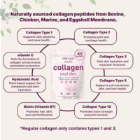 Collagène Multi-Type I, II, III, V, X pour Femmes, Mélange de Vitamines C & E, 30 Sachets de Poudre de Peptides de Collagène
