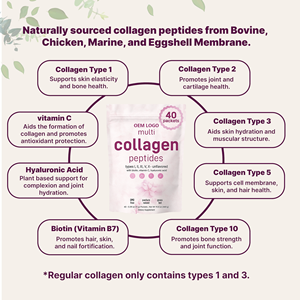 Colágeno Multi Tipo I, II, III, V y X para Mujeres, Mezcla con Vitamina C y E, 20 Sobres de Péptidos de Colágeno en Polvo - Product Image 3