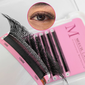 Pestañas Postizas Pre-fabricadas en Forma de W 3D 4D 5D 6D 8D, Floración Automática, 0.07mm, Bandeja Mixta, Curvatura C D, Pestañas de Visón Sintético Mate - Product Image 1