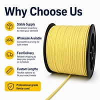 Cordon en Kevlar de 3,2 mm (1/8 pouce) à faible élasticité et haute résistance, corde tressée en polyester pour pavage