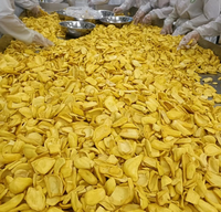 Gedroogde Jackfruit Sample Beschikbaar Natuurlijk Zonder Toegevoegde Suiker Gebakken Zoete Harde Textuur Fruit Snacks