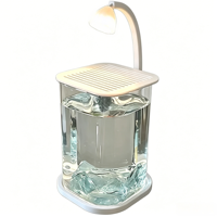 Mini aquarium transparent haut de gamme avec filtration intégrée et lampe LED chauffante pour petits poissons, idéal pour la chambre