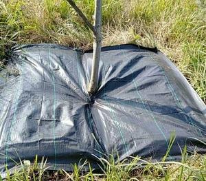 Géotextile tissé en PP de haute qualité à prix d'usine, barrière anti-mauvaises herbes industrielle/tissu de lutte chimique contre les mauvaises herbes, écologique et anti-âge - Product Image 4