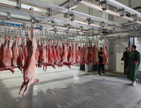 Ligne complète d'abattage de moutons, équipement d'abattage halal pour moutons, machine d'abattage de chèvres
