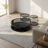 Ensembles de tables basses style minimaliste avec plateau en verre trempé pour salon, vente en gros OEM ODM