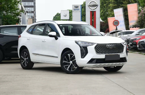 2021 Haval First Love 1.5t 6MT Manual 5-door, 5-seater Suv 1.5t 150 Horsepower L4 Gasoline Used Car - Product Image 3