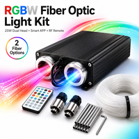 Kit de plafond étoilé à fibres optiques RGBW 25W avec moteur d'éclairage à double tête, application et télécommande RF