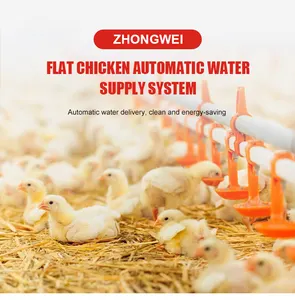 Poultry farming chicken feeder equipment Complete Automatic Broiler Feeding and Drinking line machinery