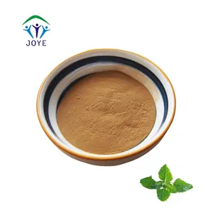 Spearmint Powder Peppermint Powder Peppermint Extract Hemp Leaf Herbal Extract Wild Solvent Extraction 10:1 20:1 CN;ANH