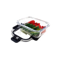 Conteneurs Alimentaires en Verre Écologiques avec Couvercle Boîte à Déjeuner en Verre Ensembles de Récipients pour Micro-Ondes