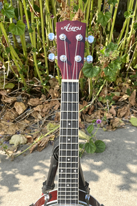 Listo para enviar, marca Aiersi, instrumento <span class=keywords><strong>de</strong></span> cuerda Banjo <span class=keywords><strong>de</strong></span> tamaño concierto <span class=keywords><strong>de</strong></span> buena calidad para ukelele ODM/OEM al mejor precio, gran stock, gran oferta - Product Image 5
