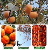Nouvelle récolte, bon goût doux, fruit de kaki rouge séché, biologique, cru, pur, kaki séché avec givre blanc
