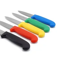 Couteau d'office à lame fixe en acier inoxydable de 3,5 pouces avec manche en plastique, ambidextre, finition polie, ustensile de cuisine polyvalent