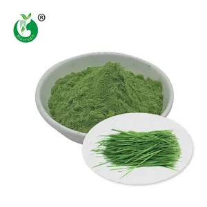 Wholesale Natural Organic Green Wheatgrass Wheat Grass Powder