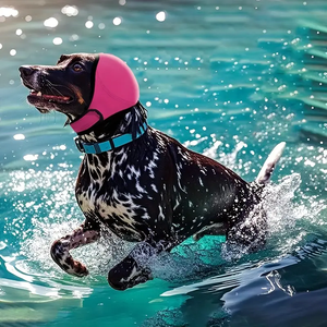 Protezione antirumore regolabile per cani all'ingrosso - Product Image 2