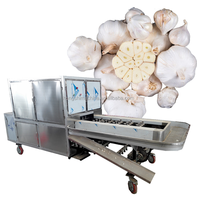 Electric Dry Garlic Industrial Peeler Root Cut Industry Automatic Onion Air Peel Machine and Top Tail Cutter