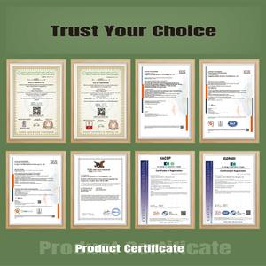 Poudre d'isolat de protéines de lactosérum au <span class=keywords><strong>chocolat</strong></span> OEM/ODM, BCAA + Glutamine, faible en glucides, sans sucre, pour la force musculaire, récupération pré et post-entraînement - Product Image 6