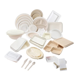 Compostable Disposable Paper Tableware Sugarcane Bagasse Tableware Box Plates Cups Cutlery Bagasse Fiber Dinnerware