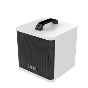 Aroma AG-40A 40w chitarra acustica elettrica amplificatore digitale amplificatore Audio scatola di altoparlanti ricaricabile sintonizzatore incorporato