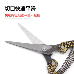 กรรไกรตัดแต่งกิ่งบาซิล ไบพาส ทำจากเหล็กกล้าคาร์บอน ขนาด 20-30 มม. สำหรับต้นไม้เลื้อยและต้นไม้ผลไม้ เครื่องมือทำสวนแบบใช้มือพร้อมด้ามจับแบบสปริง - Product Image 1