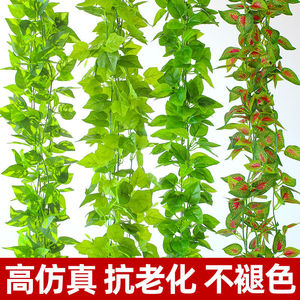 Lianes de lierre artificielles 100cm-200cm, feuilles vertes en plastique, décorations d'intérieur - Product Image 2