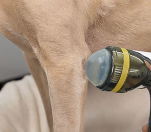 Appareil de thérapie par ondes de choc focalisées électromagnétiques ESWT pour chien - Product Image 4