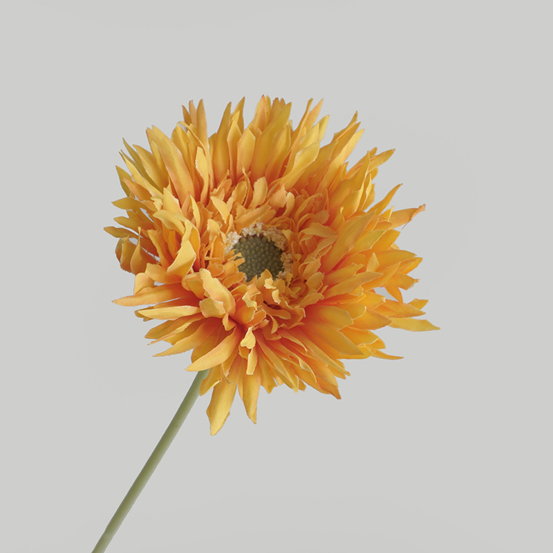 5-orange orange
