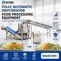 DY Continue Ontwateringscentrifuge Dehydratiemachine Volledig Automatische Centrifugale Groenteontwateringsmachine