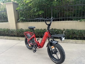 Queene 2024 Super Promotion 750 Watt Gros Pneu Neige Vélo Électrique Pliable Beach Cruiser Ebike Pour Les Femmes - Product Image 6