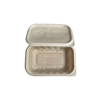 Boîte d'emballage jetable en fibre de coque de riz, inviolable et transparente, pour fruits, légumes et salades, avec charnière, compatible micro-ondes, biodégradable