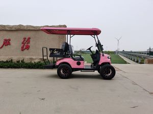Voiturette de golf 4x4 à 4 places facile d'entretien pour parcs, attractions touristiques, terrains de golf et centres d'exposition - Product Image 2