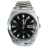Montre mécanique automatique pour homme Erient Double Lion, cadran 41 mm, bracelet lumineux, double calendrier, acier inoxydable, fermoir caché