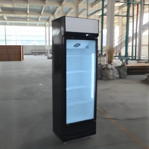 Réfrigérateur Vitrine Verticale 300L, Meilleure Vente, Électrique, Économique, pour Crèmes Glacées et Boissons, Congélateur de Présentation - Product Image 3