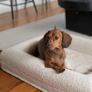 Cama para perro de espuma ortopédica Boucle de hilo crema neutral de lino impermeable cubierta extraíble lavable - Product Image 2