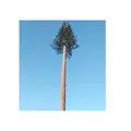 Camouflaged Artificial Pine And Palm Tree Mobile Communication Antenna Tower
