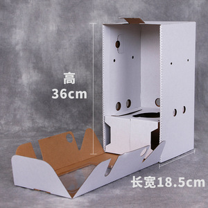 Customize Corrugated Paper Fresh <strong>Flower</strong> Floral Transport <strong>Box</strong> Packaging Bouquet Roses Plant Transportation <strong>Box</strong> for <strong>Flower</strong> - Product Image 2