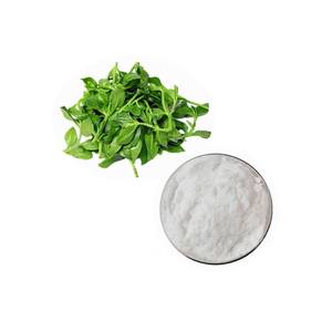 Заводская поставка, экстракт andrographi Paniculata с чистым 98% 5% андрографолидом - Product Image 5