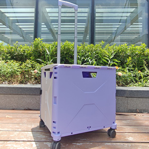 Chariots de courses pliables miniatures en plastique en gros, 4 roues, chariots de plage, bagages, sacs, supermarché, portables, pratiques, PP - Product Image 6