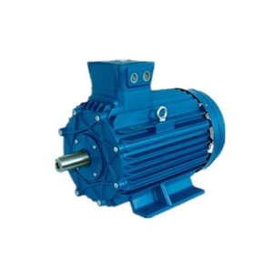 Motor Eléctrico Antiexplosión Cemp TC80MA2 de 80mm, Motor de Inducción Trifásico con Montaje en Pedestal - Product Image 3